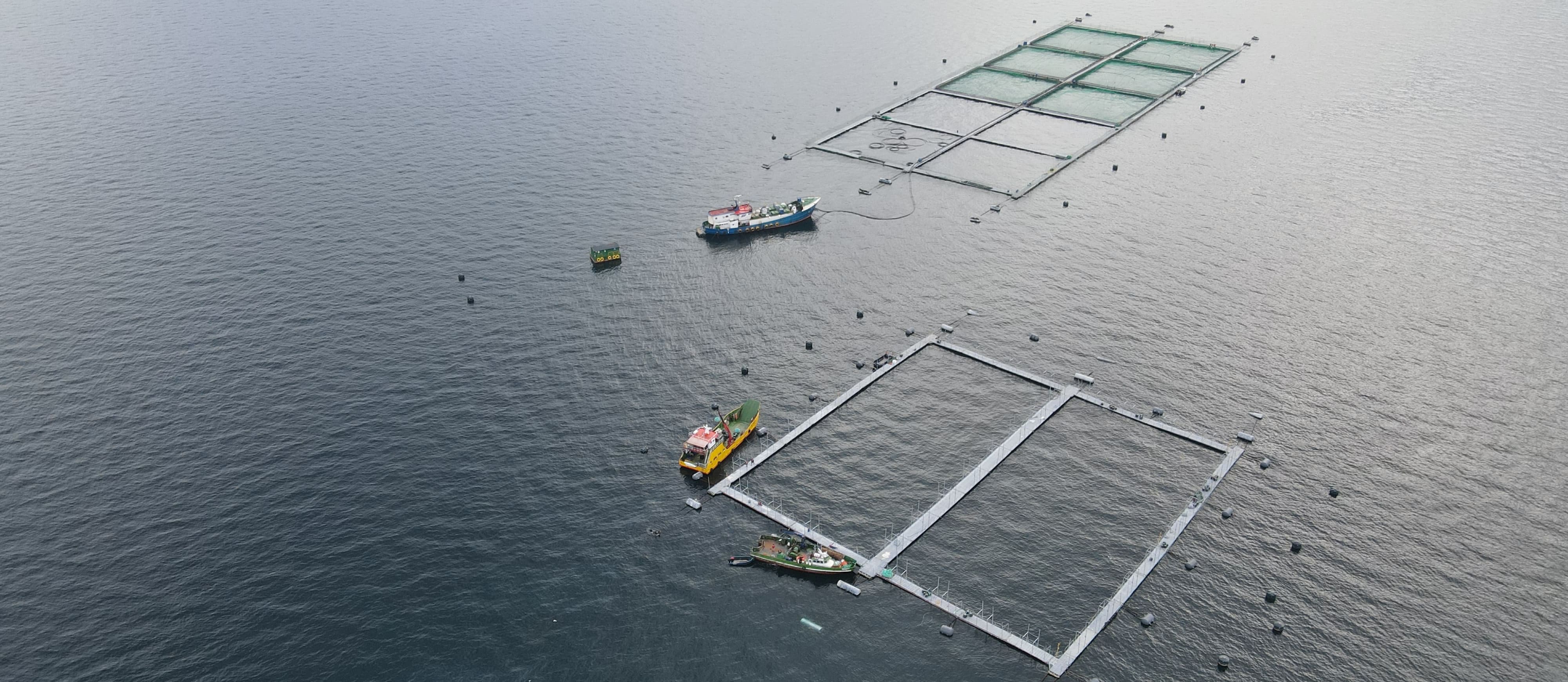Programa de Acuicultura Oceánica de CORFO - Contacto