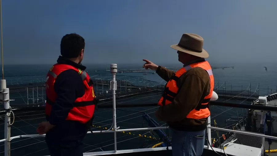 Programa de Acuicultura Oceánica de CORFO - Noticias