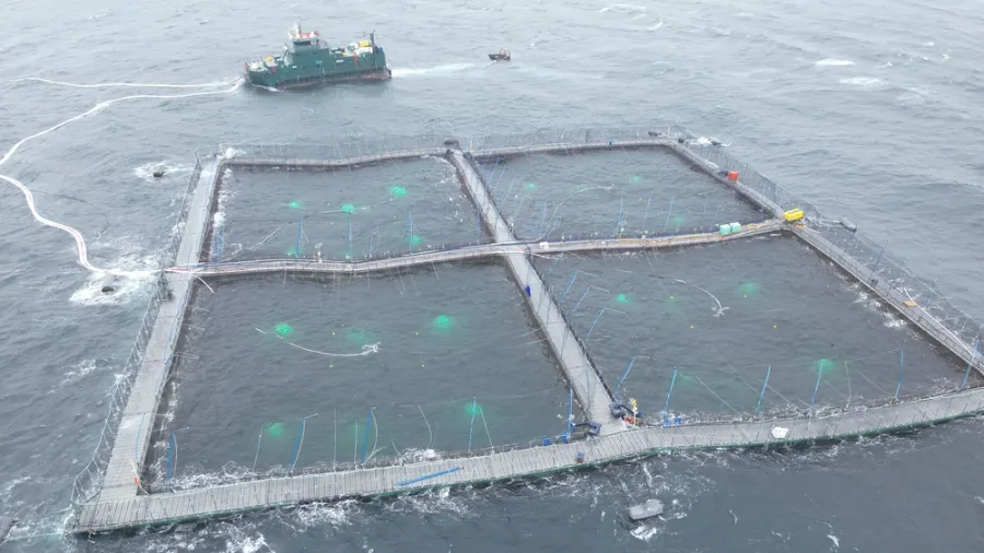 Noticia de Programa de Acuicultura Oceánica de CORFO