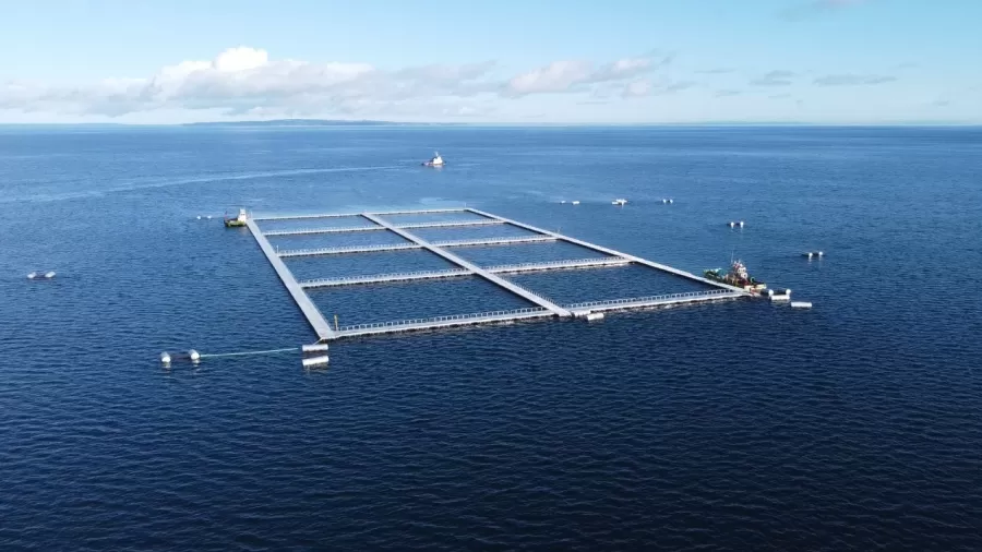 Noticia de Programa de Acuicultura Oceánica de CORFO