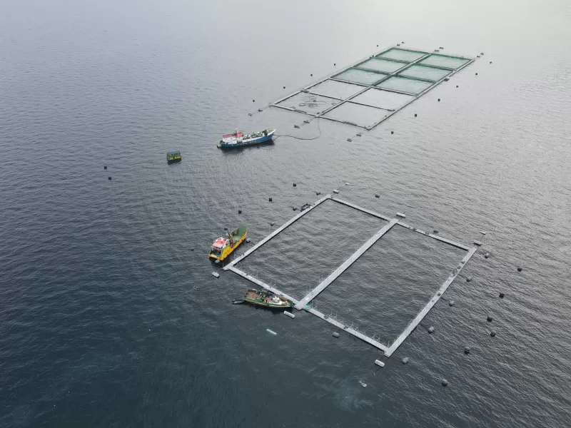 Multimedia - Programa de Acuicultura Oceánica de CORFO 