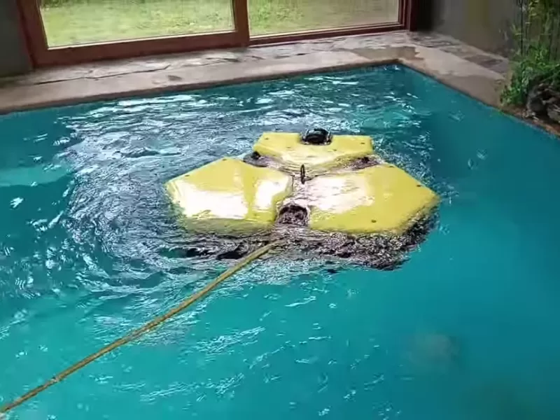 Multimedia - Programa de Acuicultura Oceánica de CORFO 