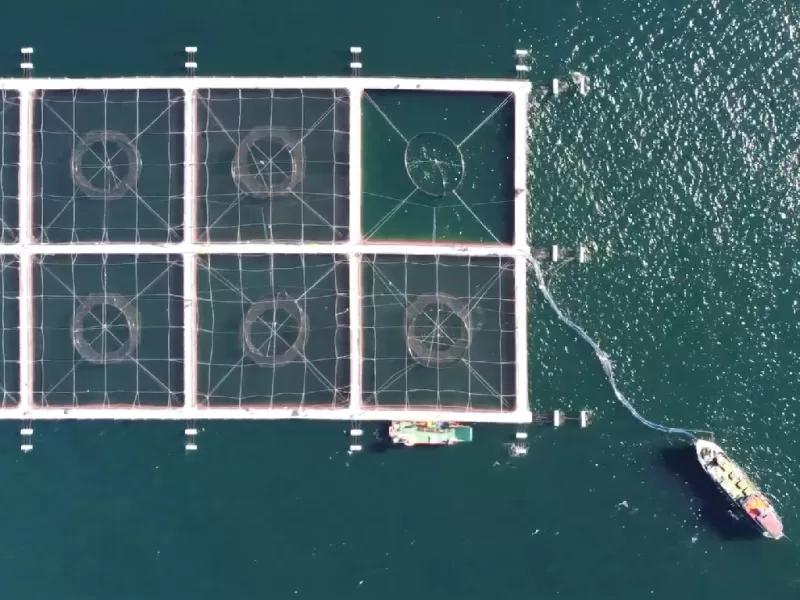 Multimedia - Programa de Acuicultura Oceánica de CORFO 