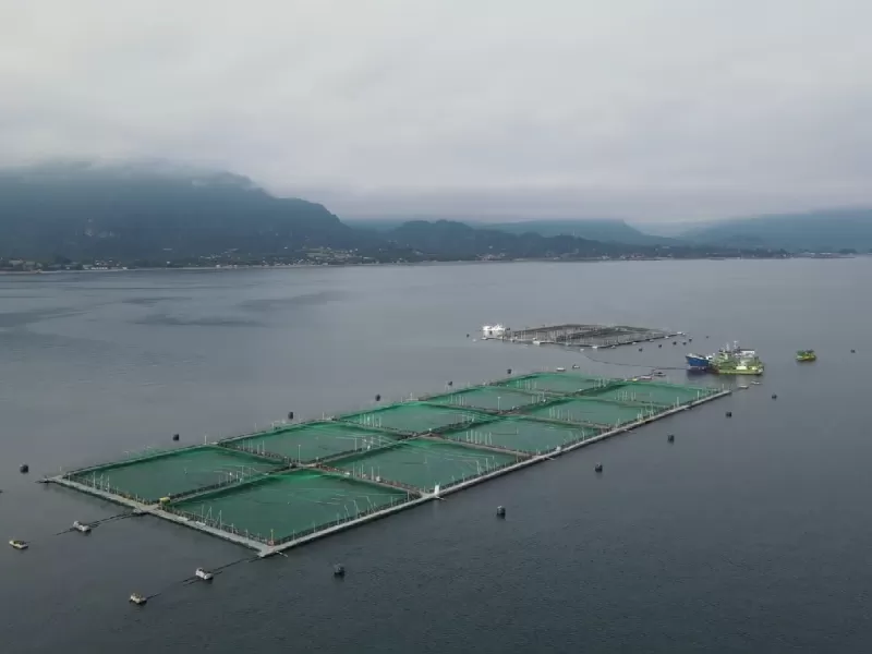 Multimedia - Programa de Acuicultura Oceánica de CORFO 