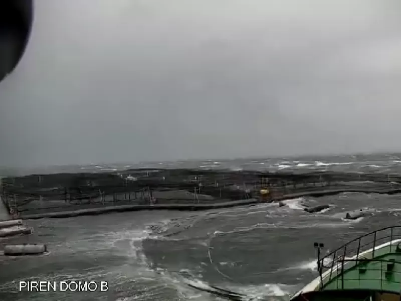 Multimedia - Programa de Acuicultura Oceánica de CORFO 