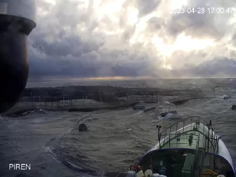 Multimedia - Programa de Acuicultura Oceánica de CORFO 