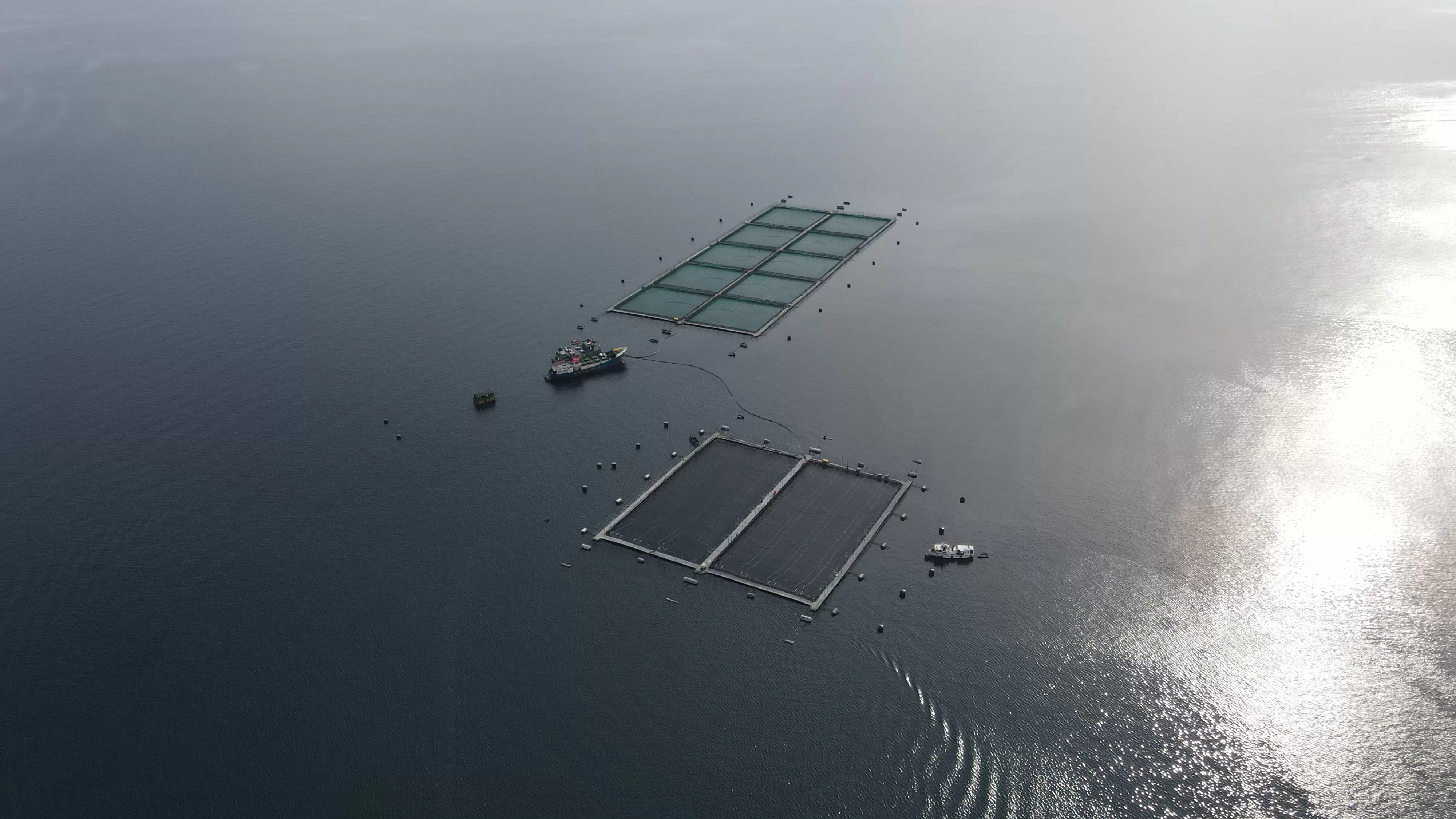 Programa de Acuicultura Oceánica de CORFO - Imagen