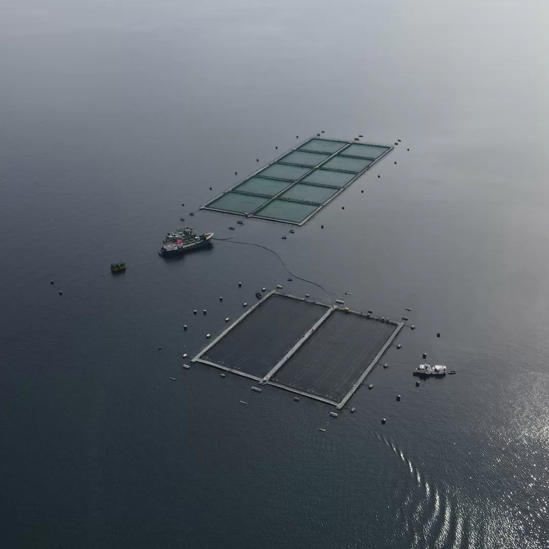 Programa de Acuicultura Oceánica de CORFO - Quienes Somos